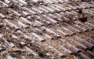 Berwick Hills roof cleaning companies